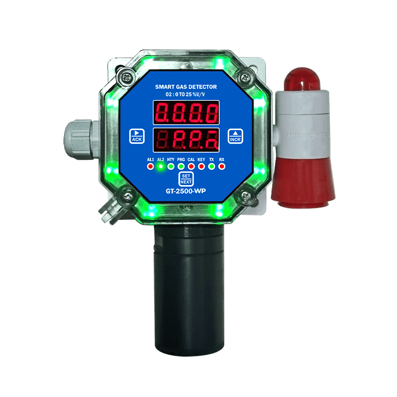 Toxic Gas Detector for Gas Leakage and Monitoring | GT-2500-WP Ambetronics