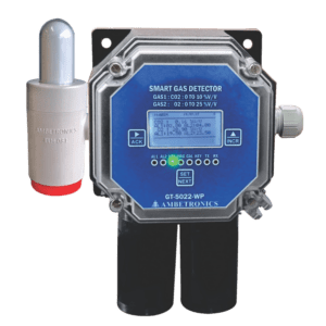 Smart Dual Channel Gas Detector