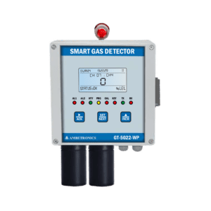Smart Dual Channel Gas Detector
