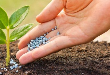 Fertilizers Plants Fertilizers Plants