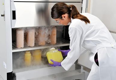 Freezer and Deep Freezer Manufacturer Solutions